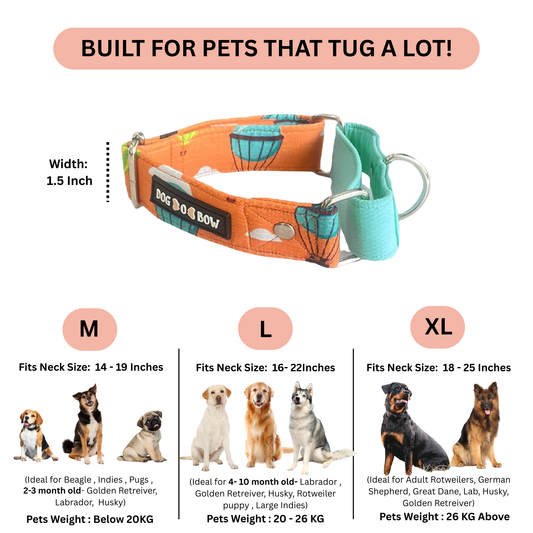 Orange Hot Air Balloon Martingale Collar LARGE