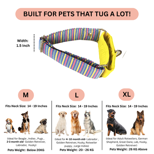 Multicolor Stripe Martingale Collar LARGE