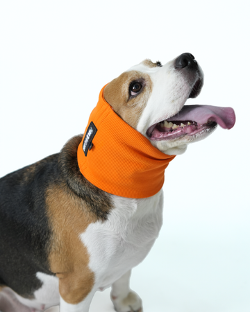 Orange Pet Ear Muff