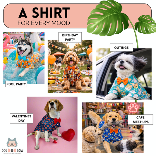 Orange Doggo Print Shirt