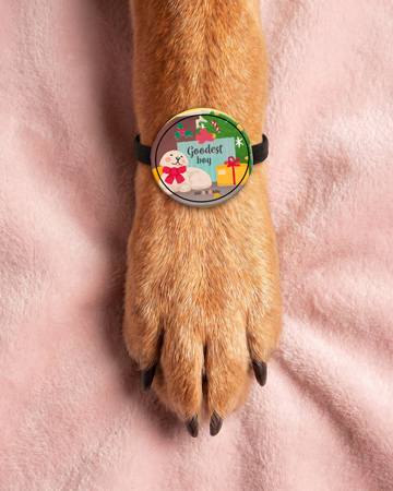 Goodest Boy Pet Rakhi