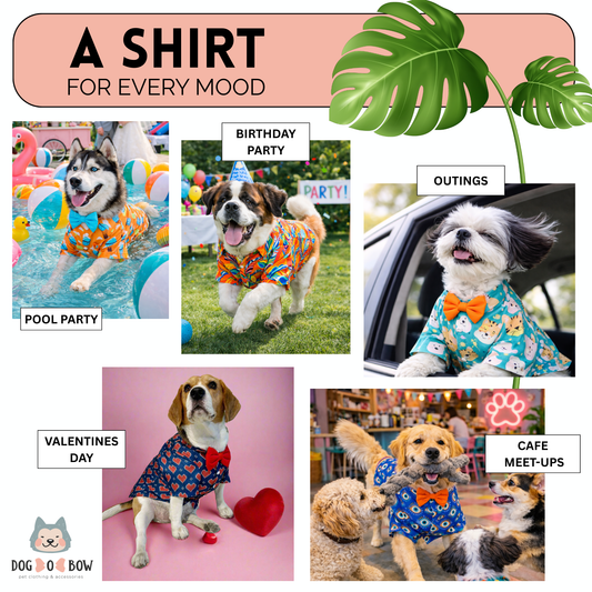 Teal Animal Print Shirt