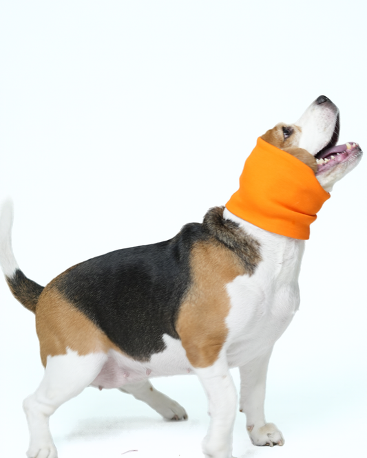 Orange Pet Ear Muff