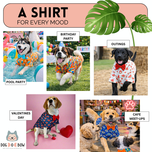 Watermelon Print Shirt