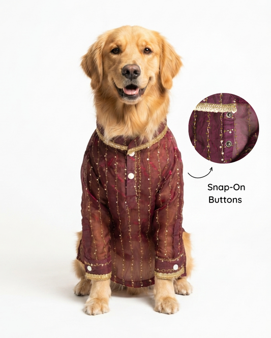 Shirazi Kurta