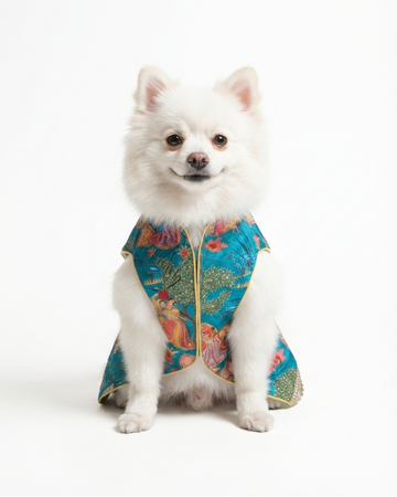 Mormukut Sherwani