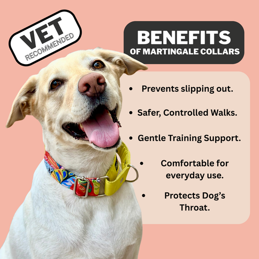 Red Hawaii Martingale Collar LARGE