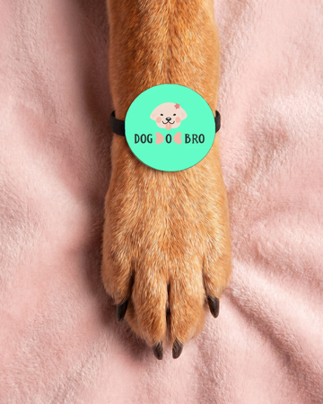 DOG-O-BRO Pet Rakhi