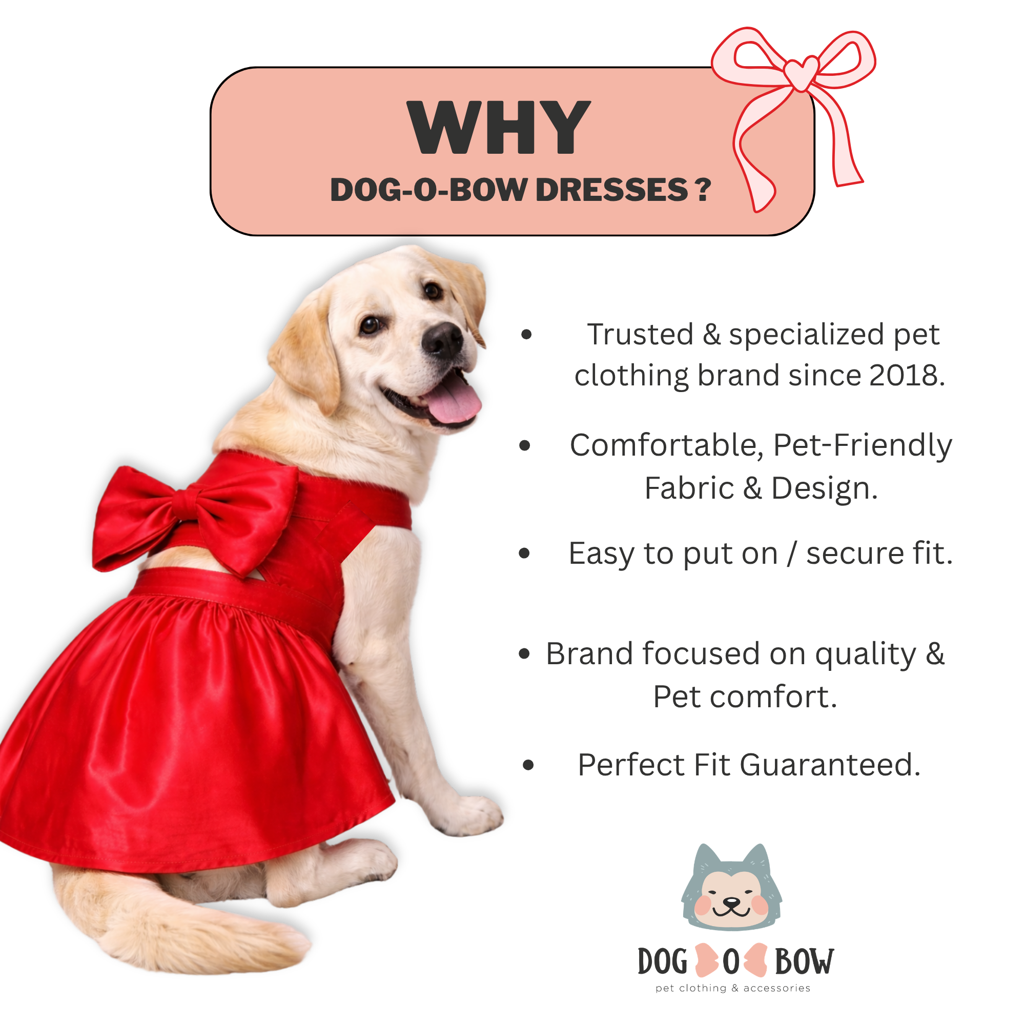 fitted lace wedding dress Fancy Little Red Dress For your Pup