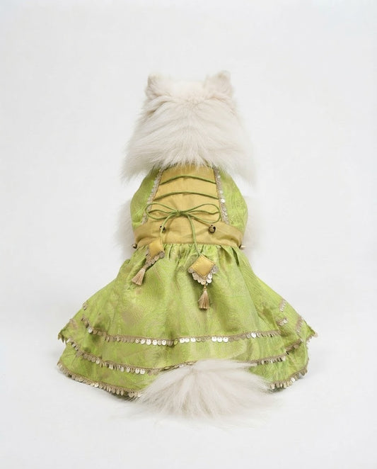 Mastani Deewani Dress