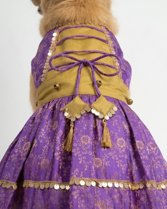 Param Sundari Dress