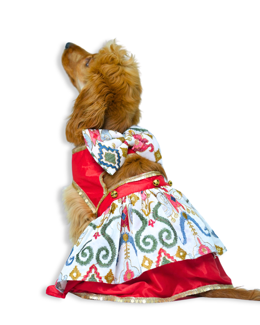 Roop ki Rani Dress
