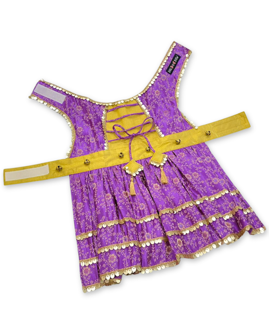 Param Sundari Dress