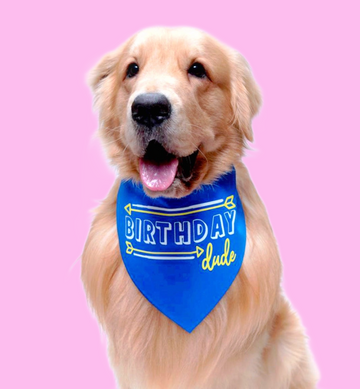 Birthday Dude Neckerchief