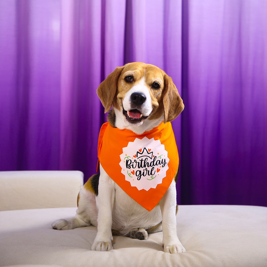 Birthday Girl Pet Bandana