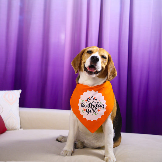 Birthday Girl Pet Bandana