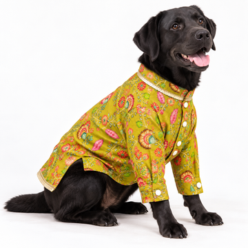 Lookin like a Snack Kurta