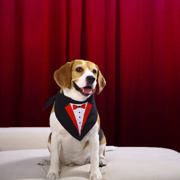 Black Printed Tuxedo Pet Bandana