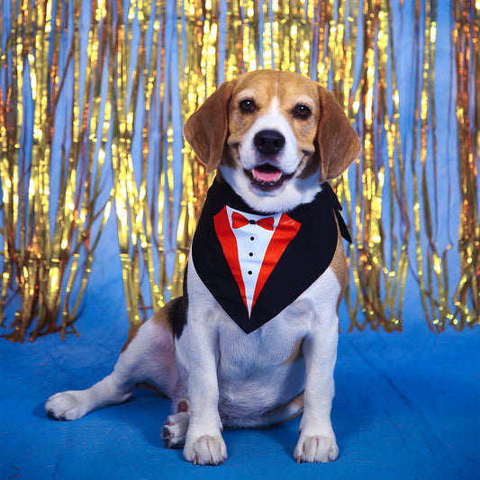 Black Printed Tuxedo Pet Bandana