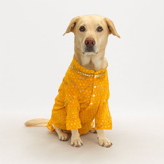Yellow Mirror Kurta