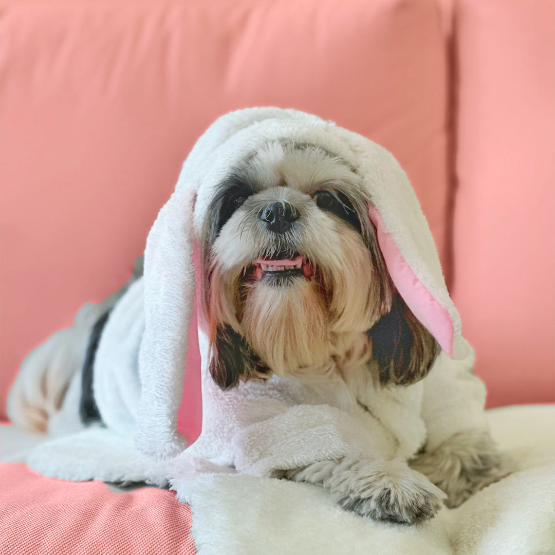 Bunny Hoodie - Main Image