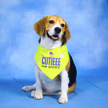 Cutie on Duty Pet Bandana