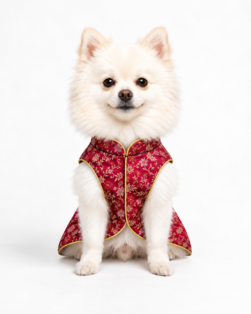 Kuchu Puchu Sherwani