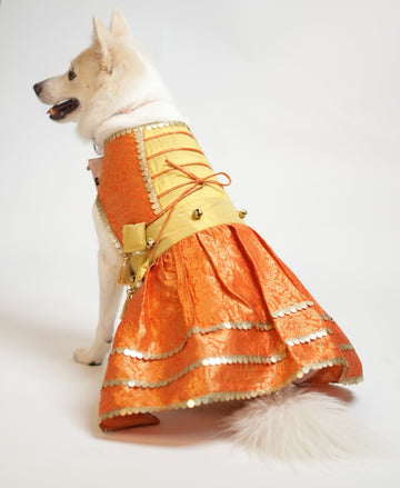 Nawabzadi Dress
