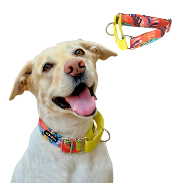 Red Hawaii Martingale Collar LARGE