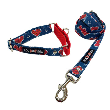 Hearty Blue Print Martingale Leash Combo (1 inch Width)