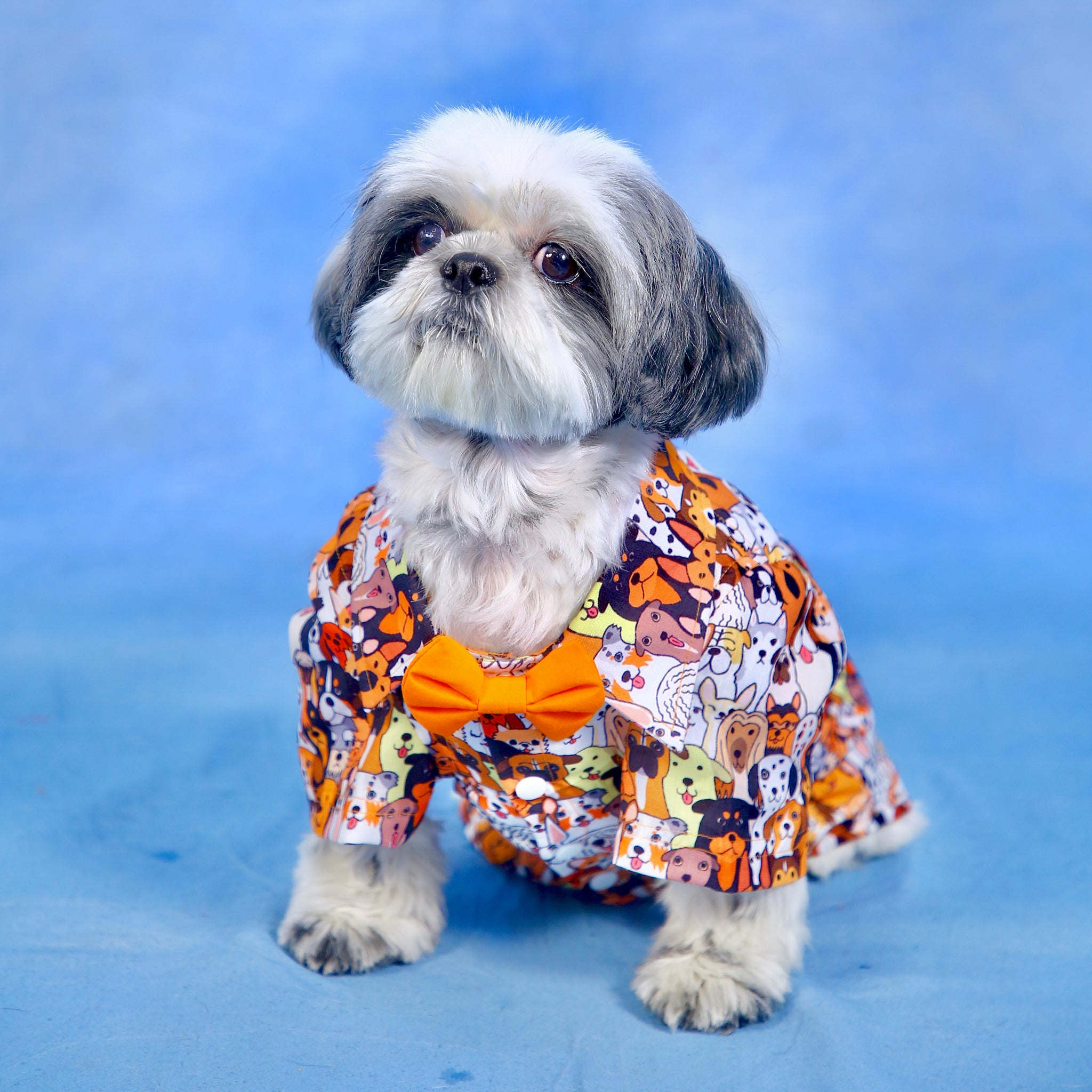 Orange Doggo Print Shirt