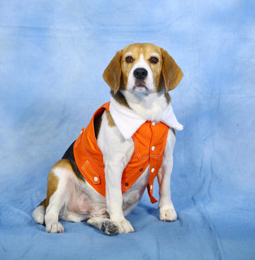 Orange Denim Jacket