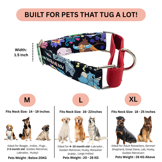 Pokemon Martingale Collar LARGE