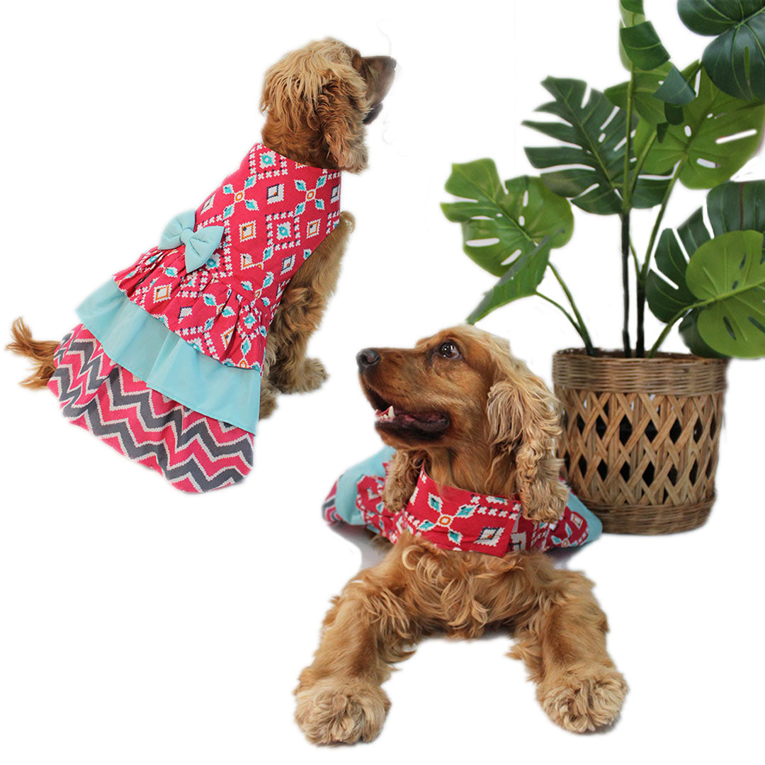 Dog dress 2024 online india