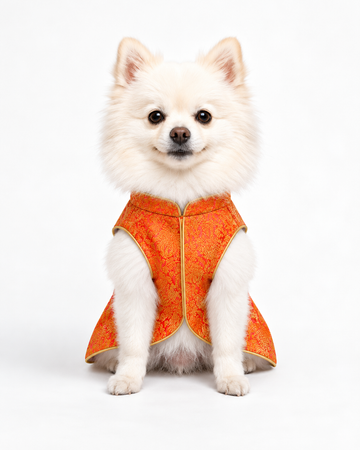Boondi ka Laddoo Sherwani