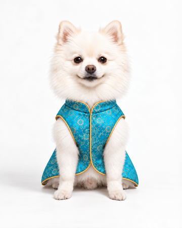Fomo Momo Sherwani