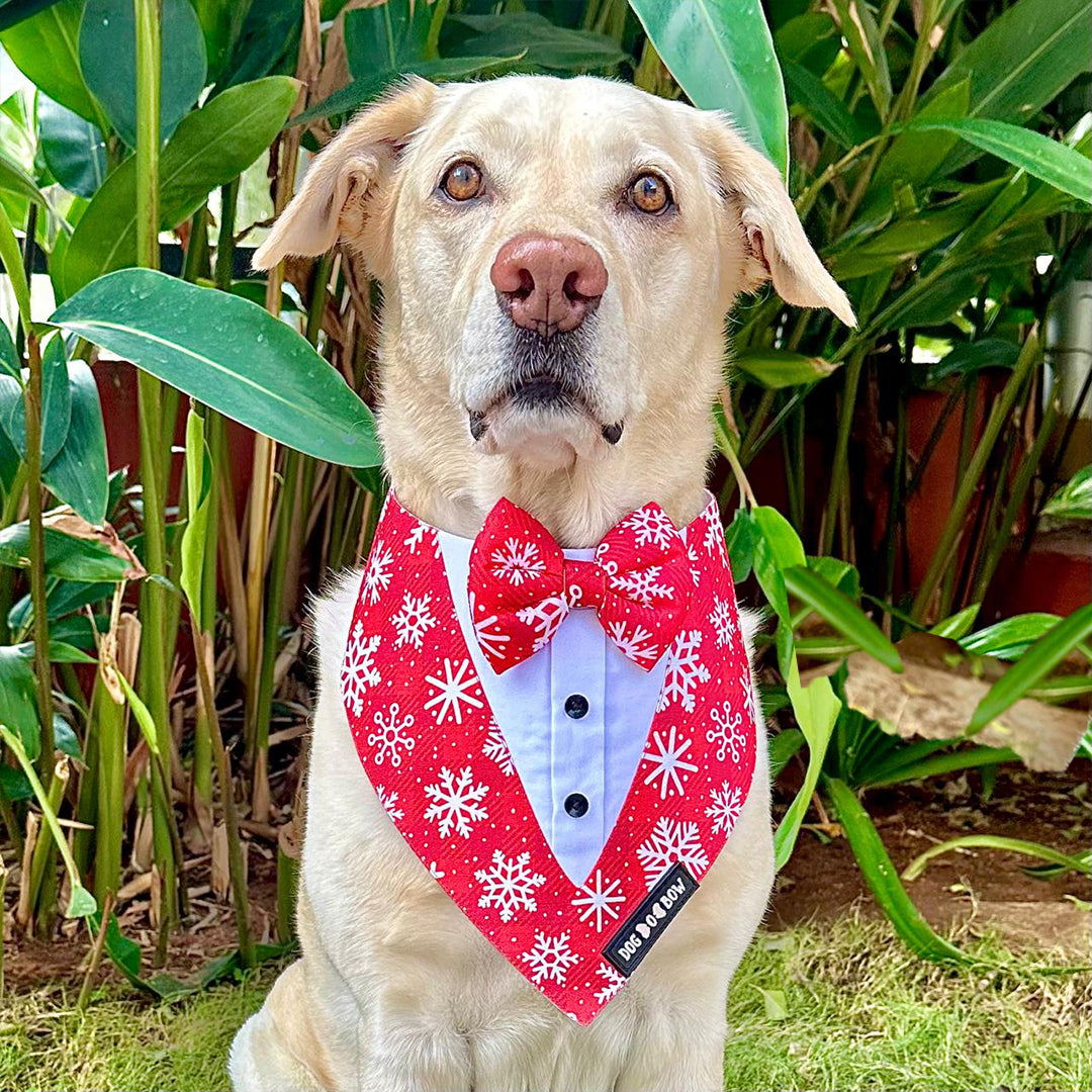 Red Aztec Print Tuxedo Bandana