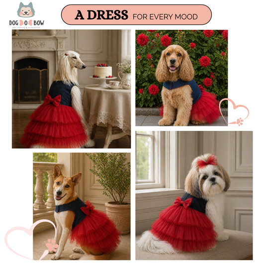 Red Denim Net Frock