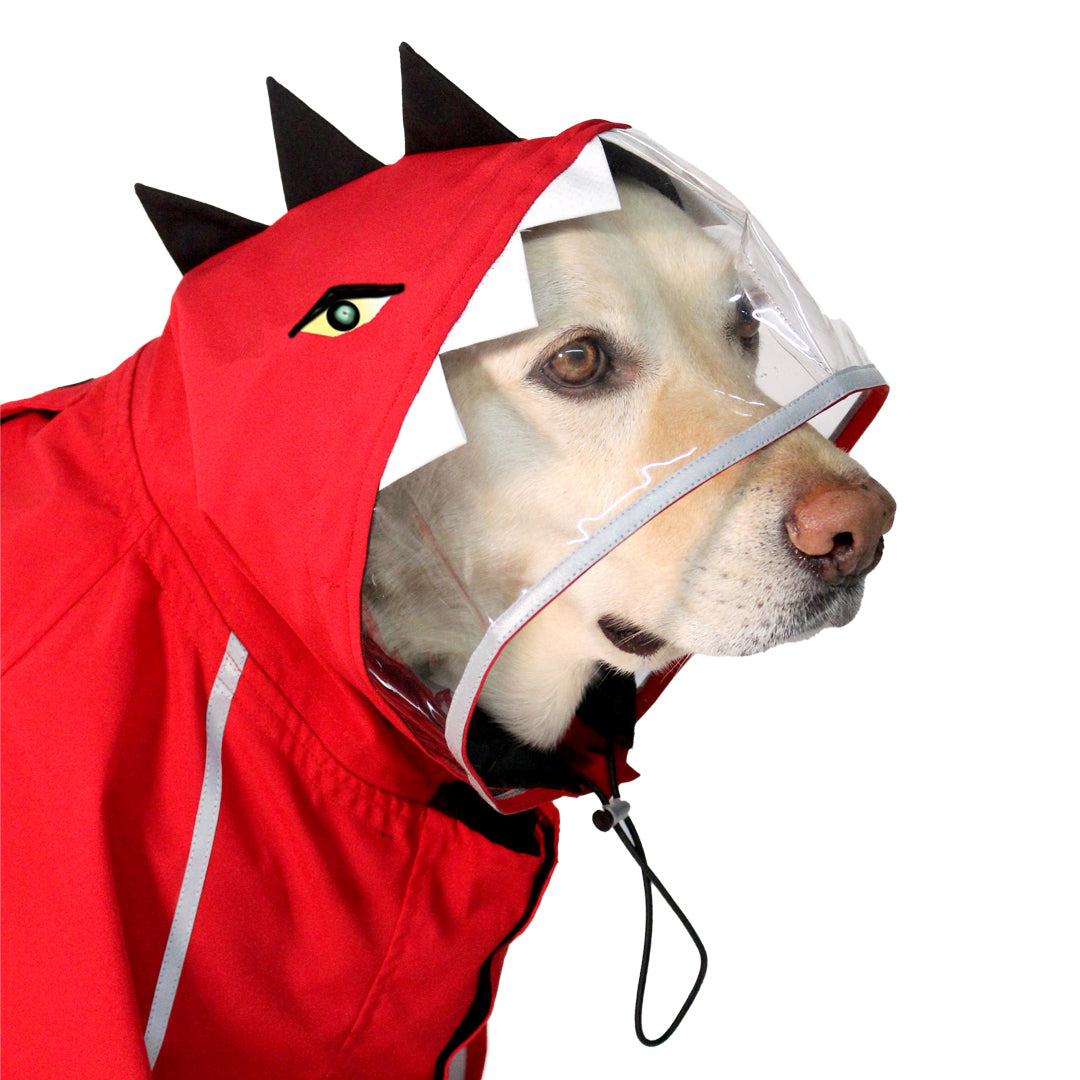 Dino Raincoat Dino Raincoat