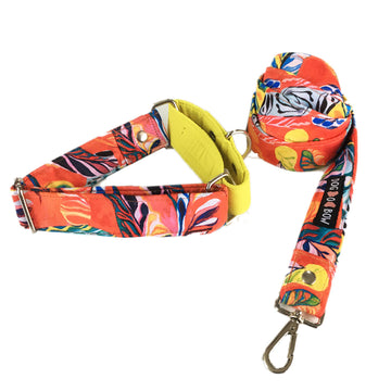 Red Hawaii Print martingale Leash combo