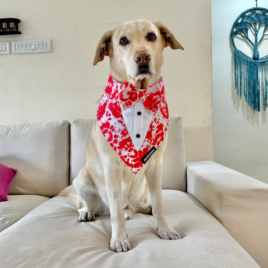 Red Tie & Dye Printed Tuxedo Bandana