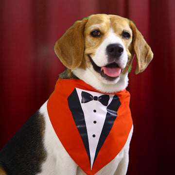 Red Printed Tuxedo Pet Bandana