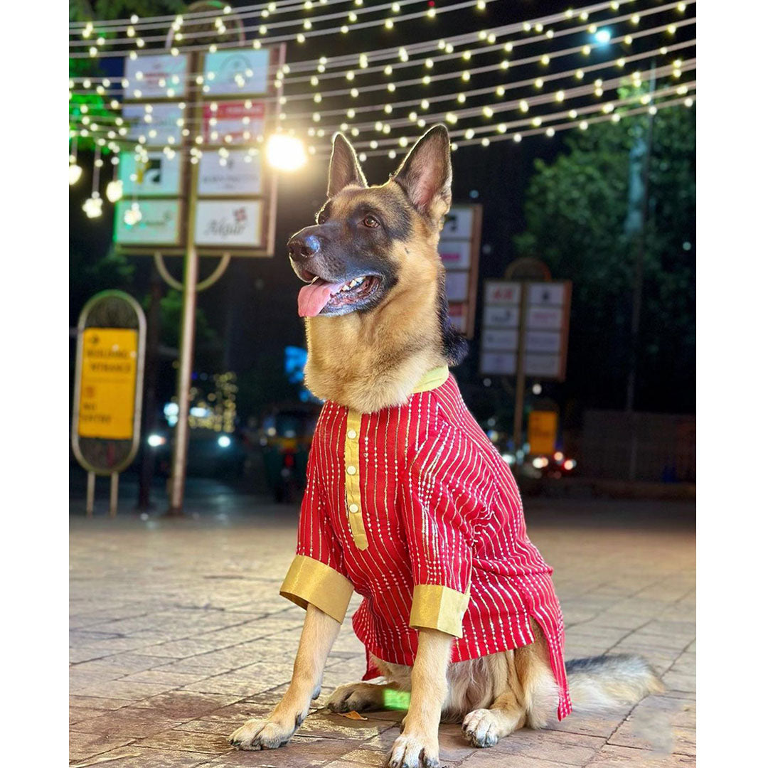 Red Georgette Embroidered Kurta