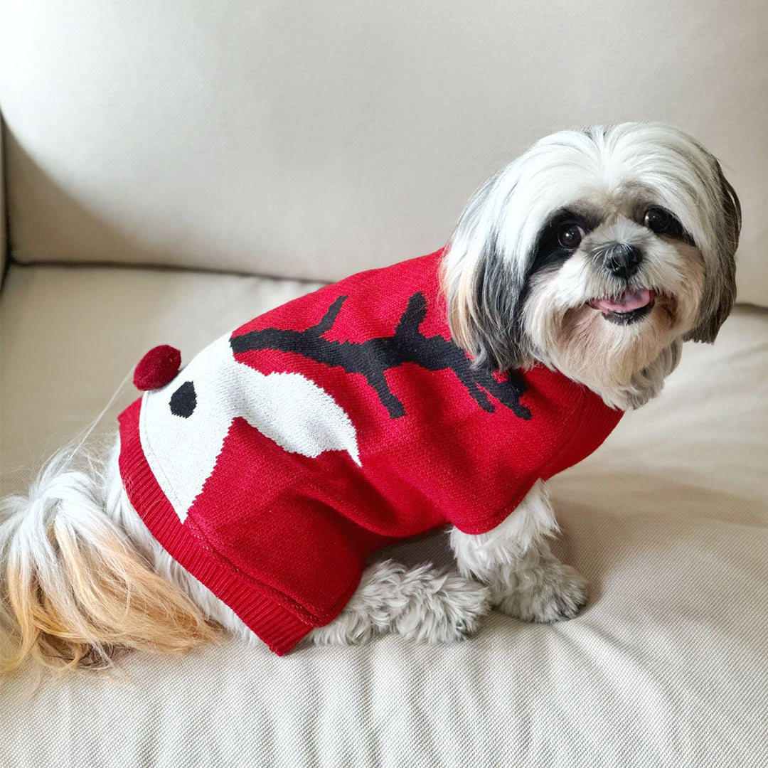 Red Reindeer Knit Sweater