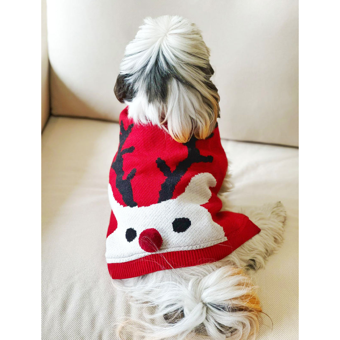 Buy Dog Dresses & Accessories Dog Clothes Online in India DogOBow