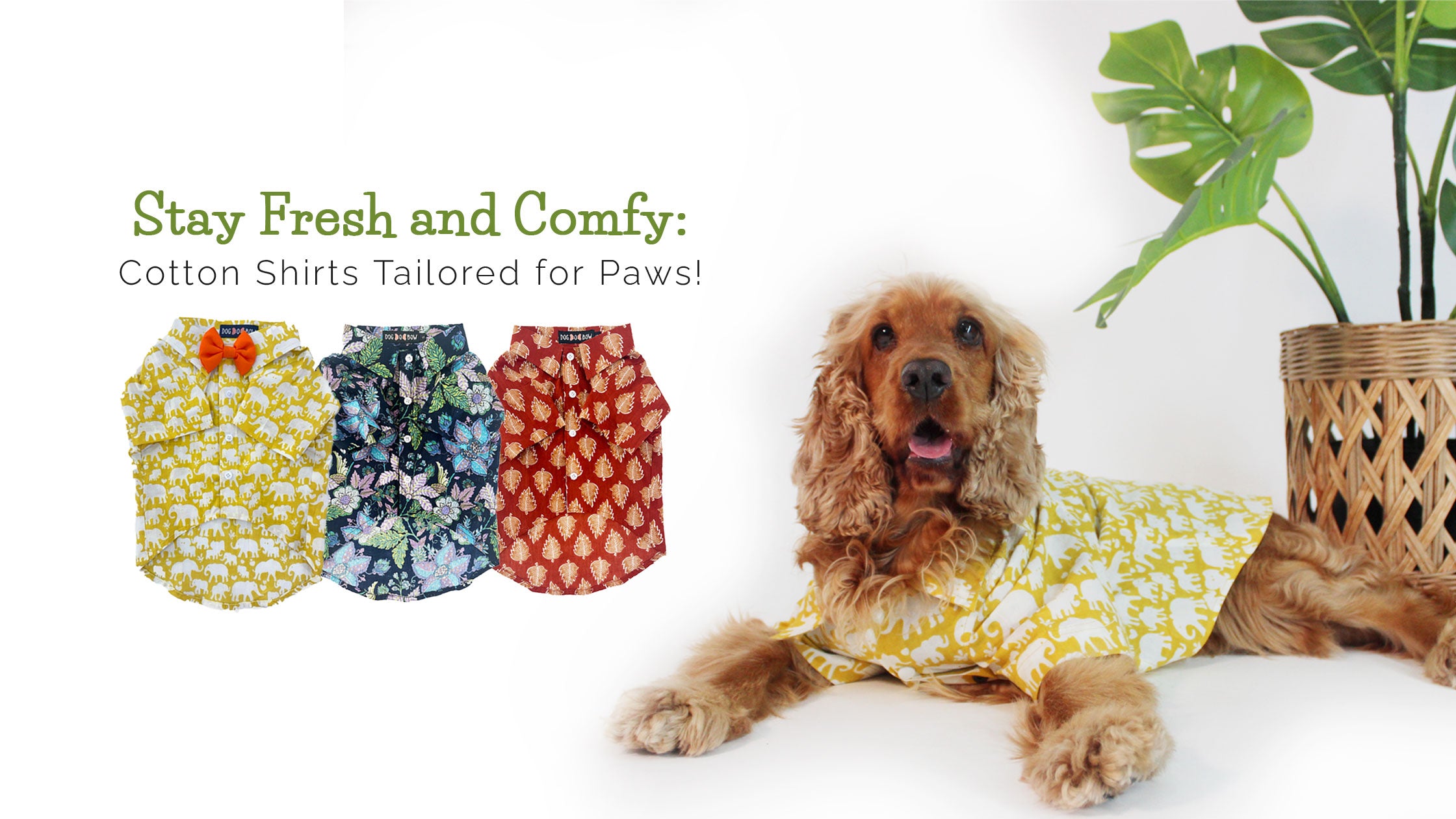 Buy dog hotsell clothes online