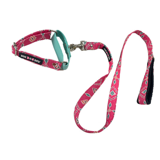 Teal-Pink Aztec Martingale Leash Combo (1 inch Width)