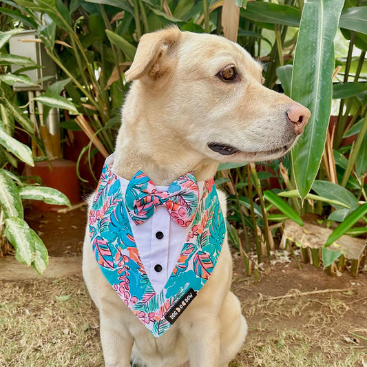 Tropicana Print Tuxedo Bandana