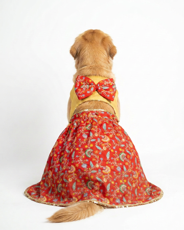 Desi Darling Dress