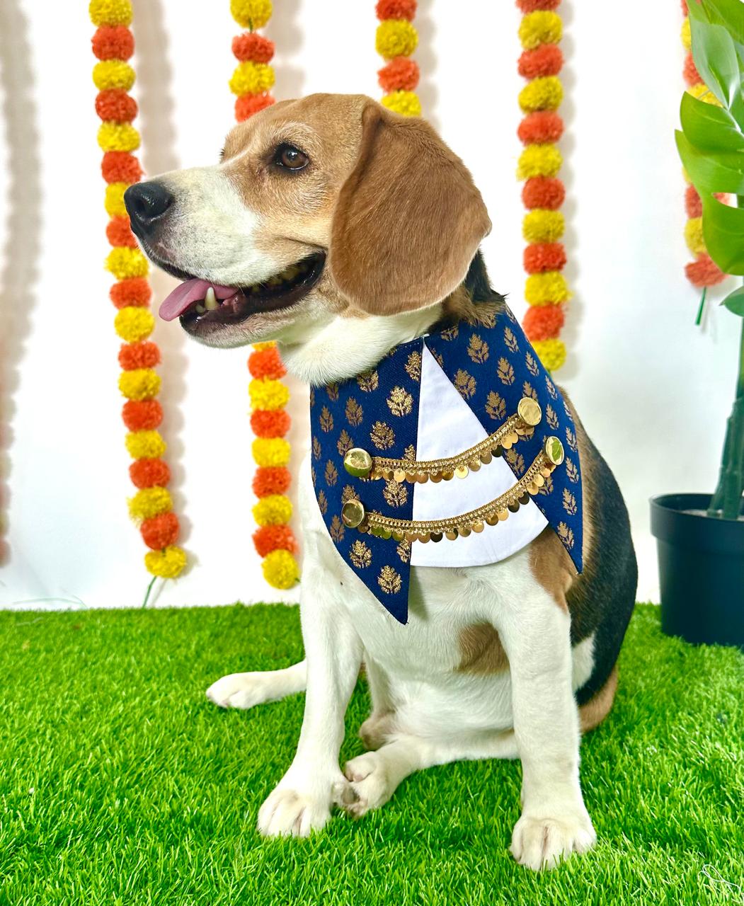 Navy Blue Traditional Suit Bandana